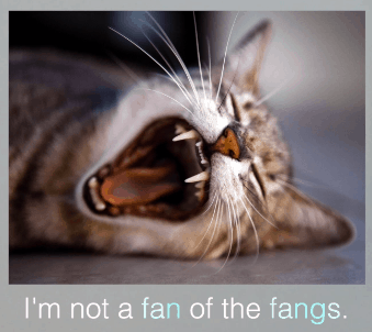 I'm not a fan of the fangs|ng 字尾英文發音